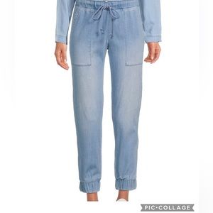 Anthro Cloth and Stone Chambray Joggers